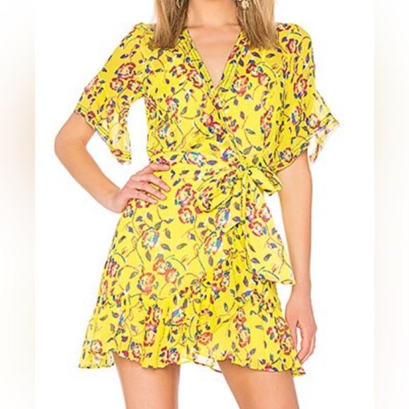 Tanya Taylor Dresses & Skirts - Tanya Taylor Women’s Dress Lemon Garden Print